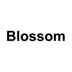 blossom-logo-500x400